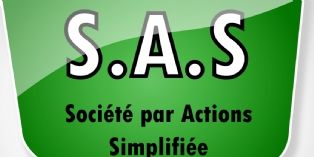 Pratique de la Société Par Actions Simplifiée (SAS) -